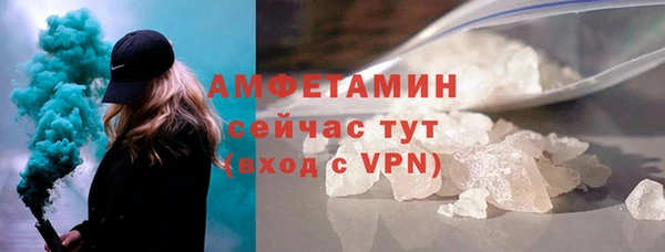 твердый Дмитровск