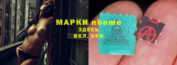 твердый Дмитровск