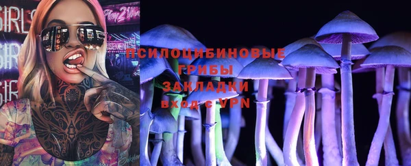 дурь Переславль-Залесский