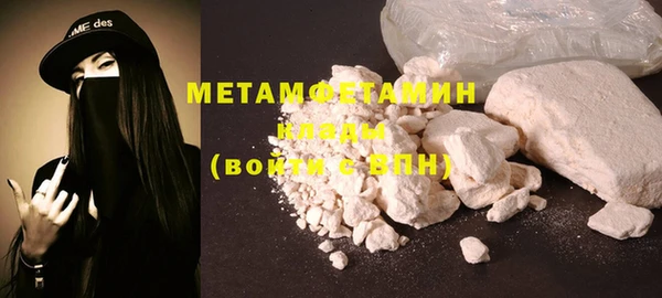 твердый Дмитровск